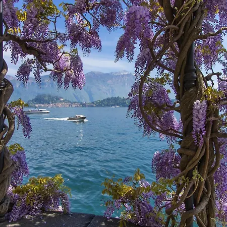 Lejlighed Santa Anna Pianello Del Lario